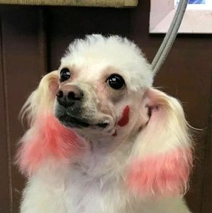 Meet your Posher, Kathleen